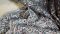 Батист  с вышивкой РИШЕЛЬЕ МЕЛКОЦВЕТ ПОД ДЖИНС