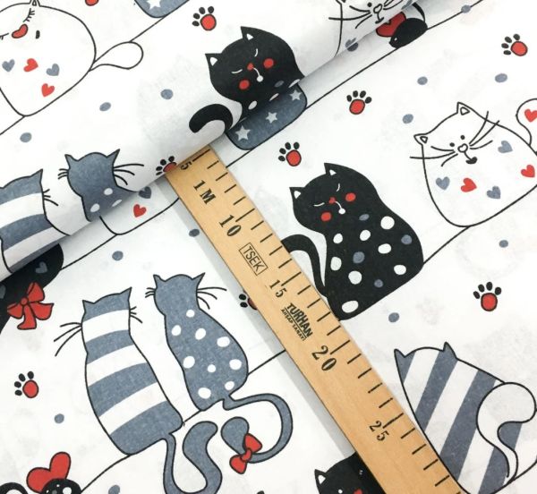 ХЛОПОК  Коты влюбленные на белом